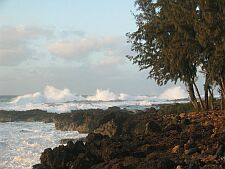 25+ foot waves near Waimea